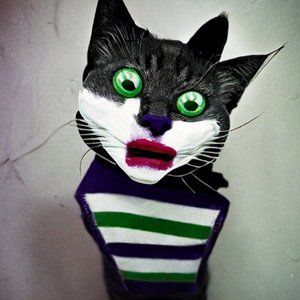 Meet your Posher, Bedlamite23